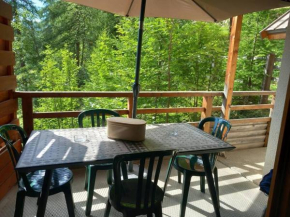 T2 au pied des pistes Puy-Saint-Vincent